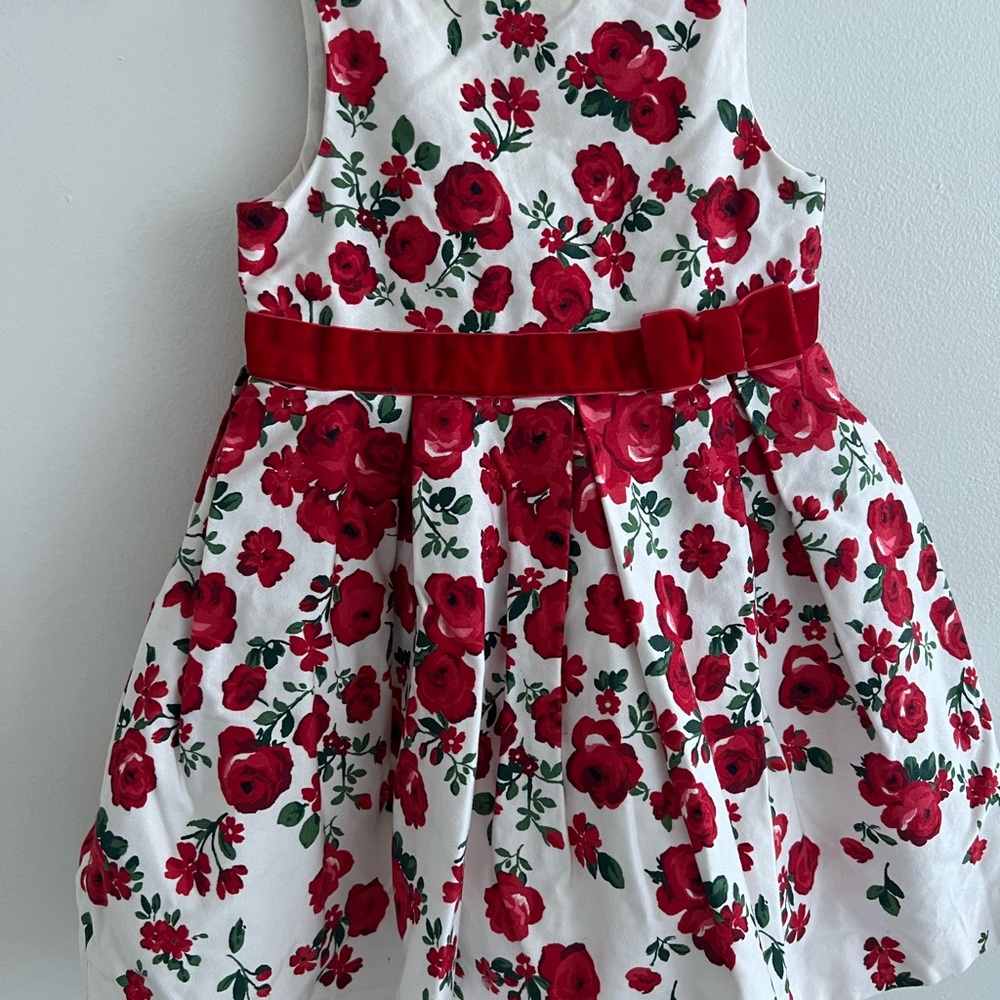 Janie and Jack Floral Cream Dress with Red Accents